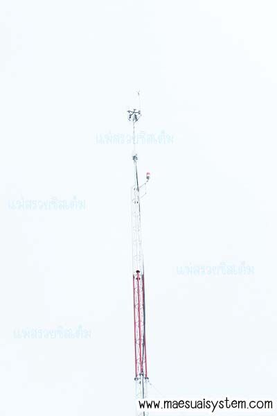 No.12 Sing WiFi รูปที่ 13